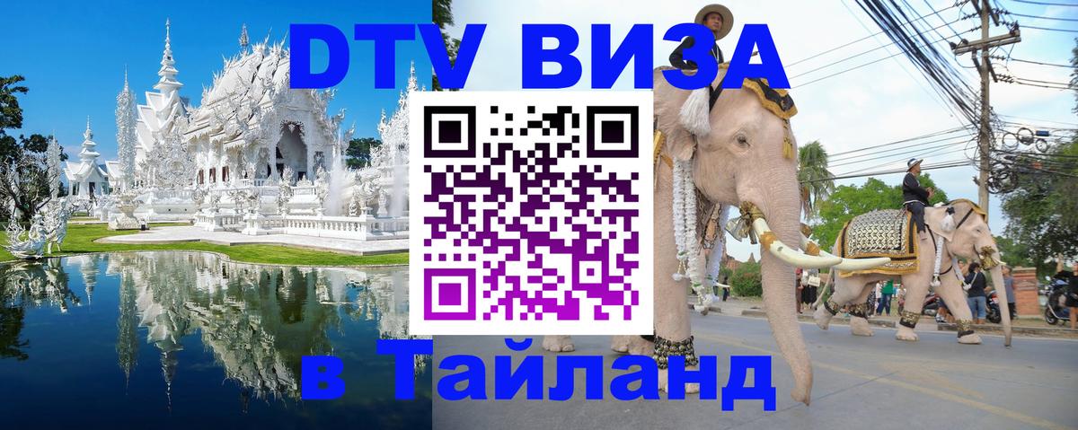 Оформление DTV визы под ключ: стоимость и тарифы, только загранпаспорт - 05.10.2025 